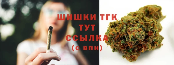 гидропоника Покачи