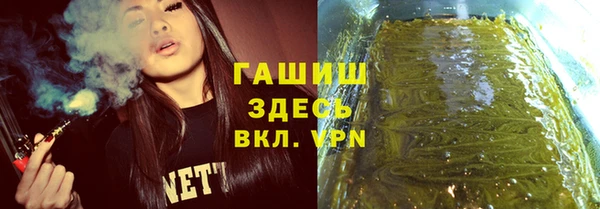 гидра Осинники