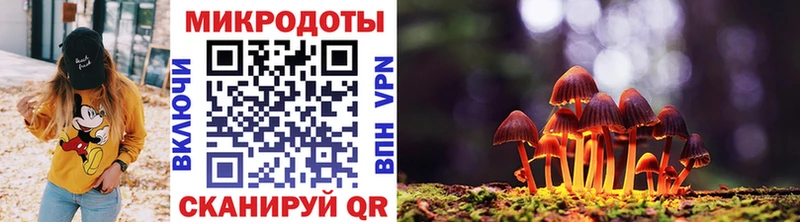блэк спрут как войти  Кыштым  Псилоцибиновые грибы Cubensis 