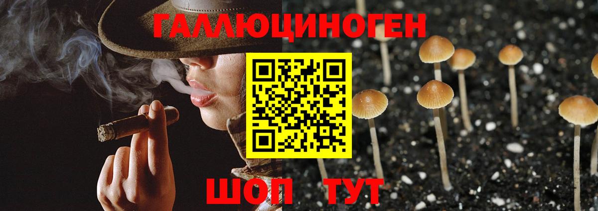Кыштым  Галлюциногенные грибы ЛСД  Галлюциногенные грибы мицелий  Вход с VPN 