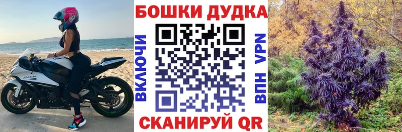 ссылка на мегу ТОР Кыштым Бошки Шишки сатива